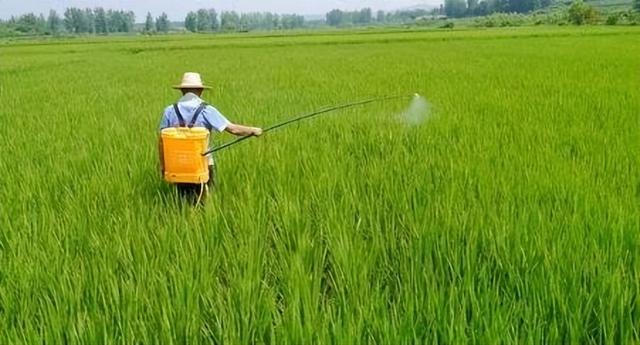 药店为什么不让卖高锰酸钾溶液（药店为什么不让卖高锰酸钾片）