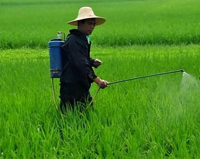 药店为什么不让卖高锰酸钾溶液（药店为什么不让卖高锰酸钾片）