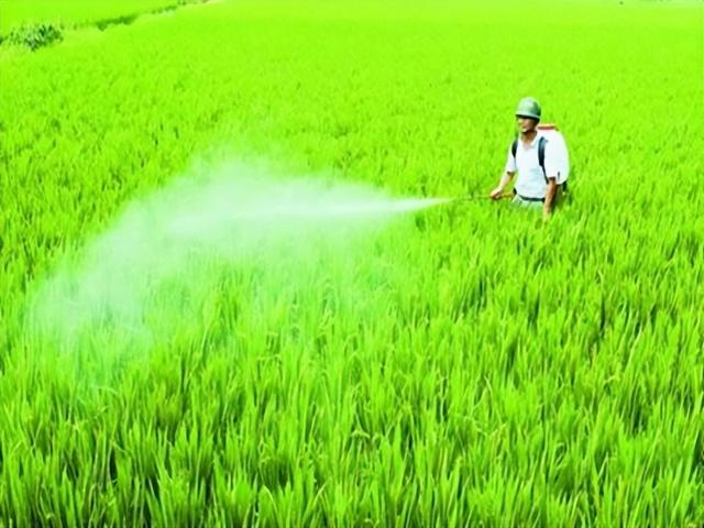 药店为什么不让卖高锰酸钾溶液（药店为什么不让卖高锰酸钾片）