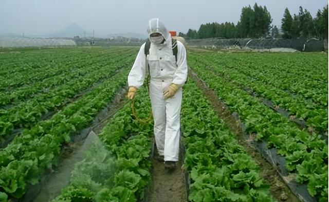 药店为什么不让卖高锰酸钾溶液（药店为什么不让卖高锰酸钾片）