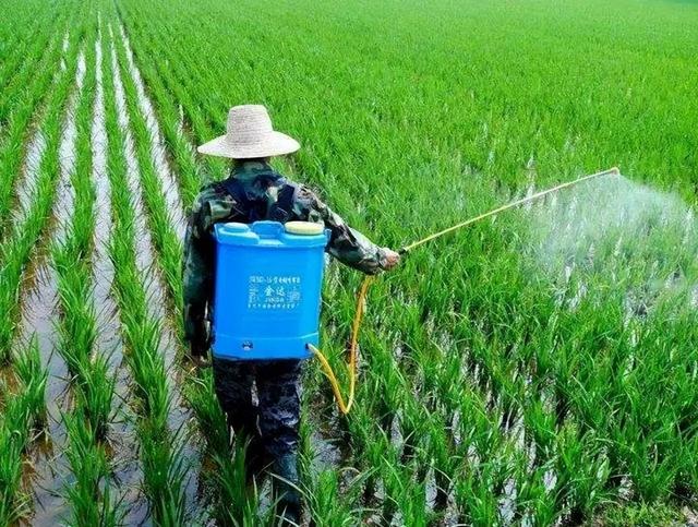 药店为什么不让卖高锰酸钾溶液（药店为什么不让卖高锰酸钾片）