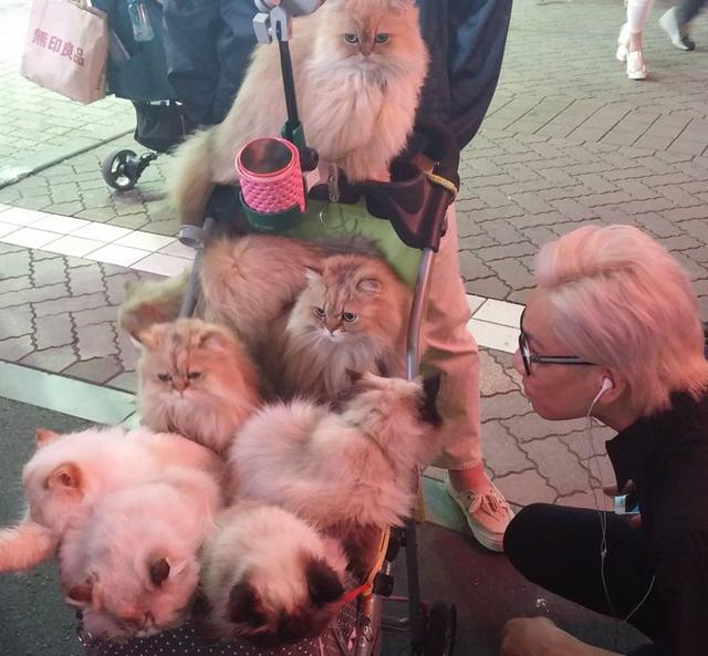 波多野结衣医生奉献（波多野结衣医生告白）