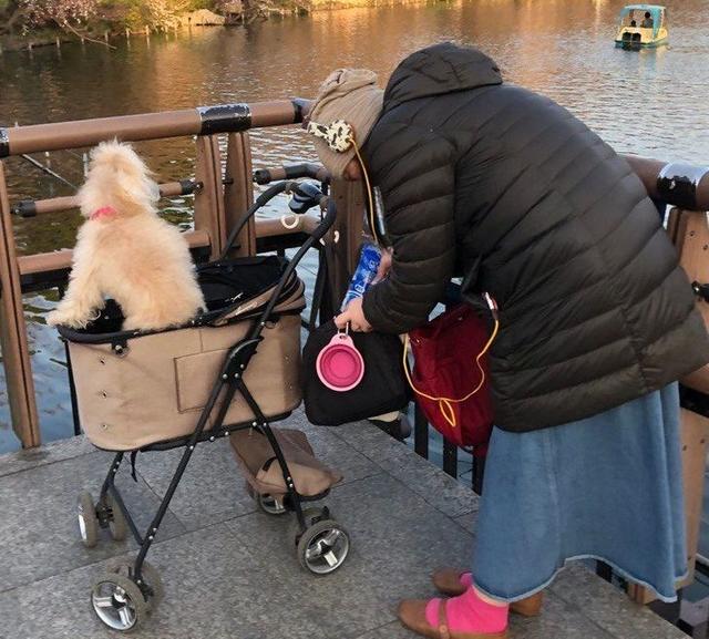 波多野结衣医生奉献（波多野结衣医生告白）