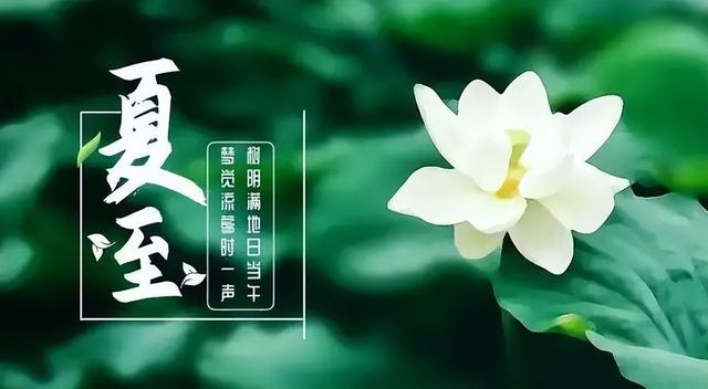 夏至喝什么养生茶？适合夏季喝的5种养生茶