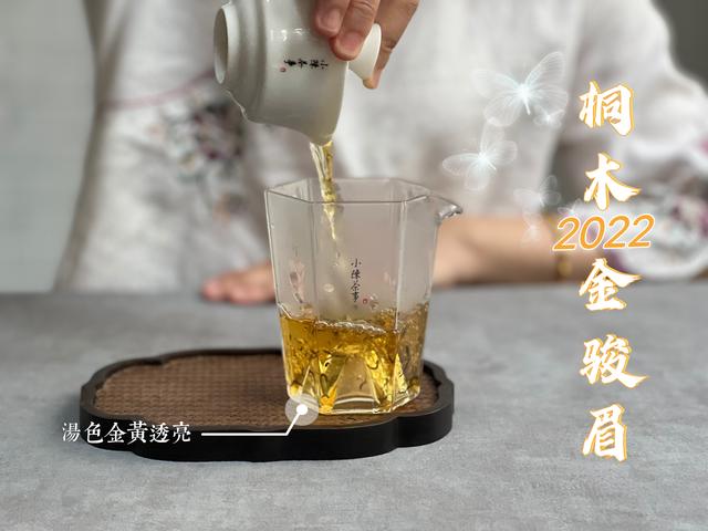 金骏眉属于什么茶叶是红茶还是绿茶（金骏眉属于什么茶夏天能喝吗）