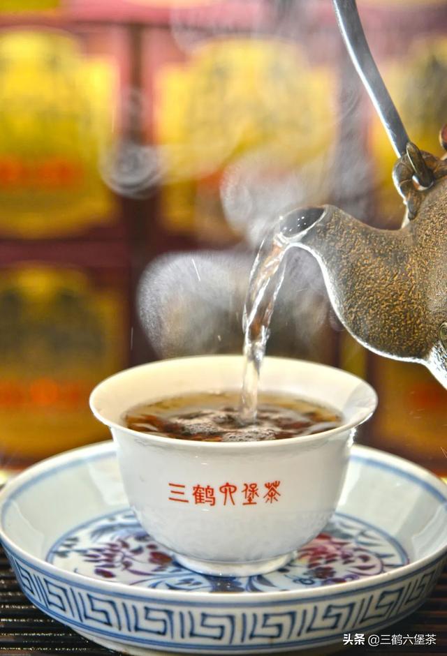 六堡茶的功效与作用及禁忌 祛湿，六堡茶与熟普洱茶的区别