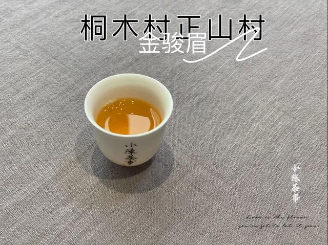 金骏眉属于什么茶叶是红茶还是绿茶（金骏眉属于什么茶夏天能喝吗）