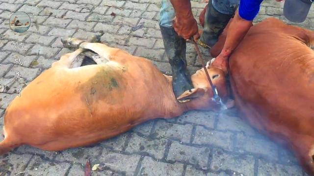 牛角怎么做好吃，牛角怎么做好吃又简单！